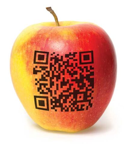 Labeling Genetically Modified Food